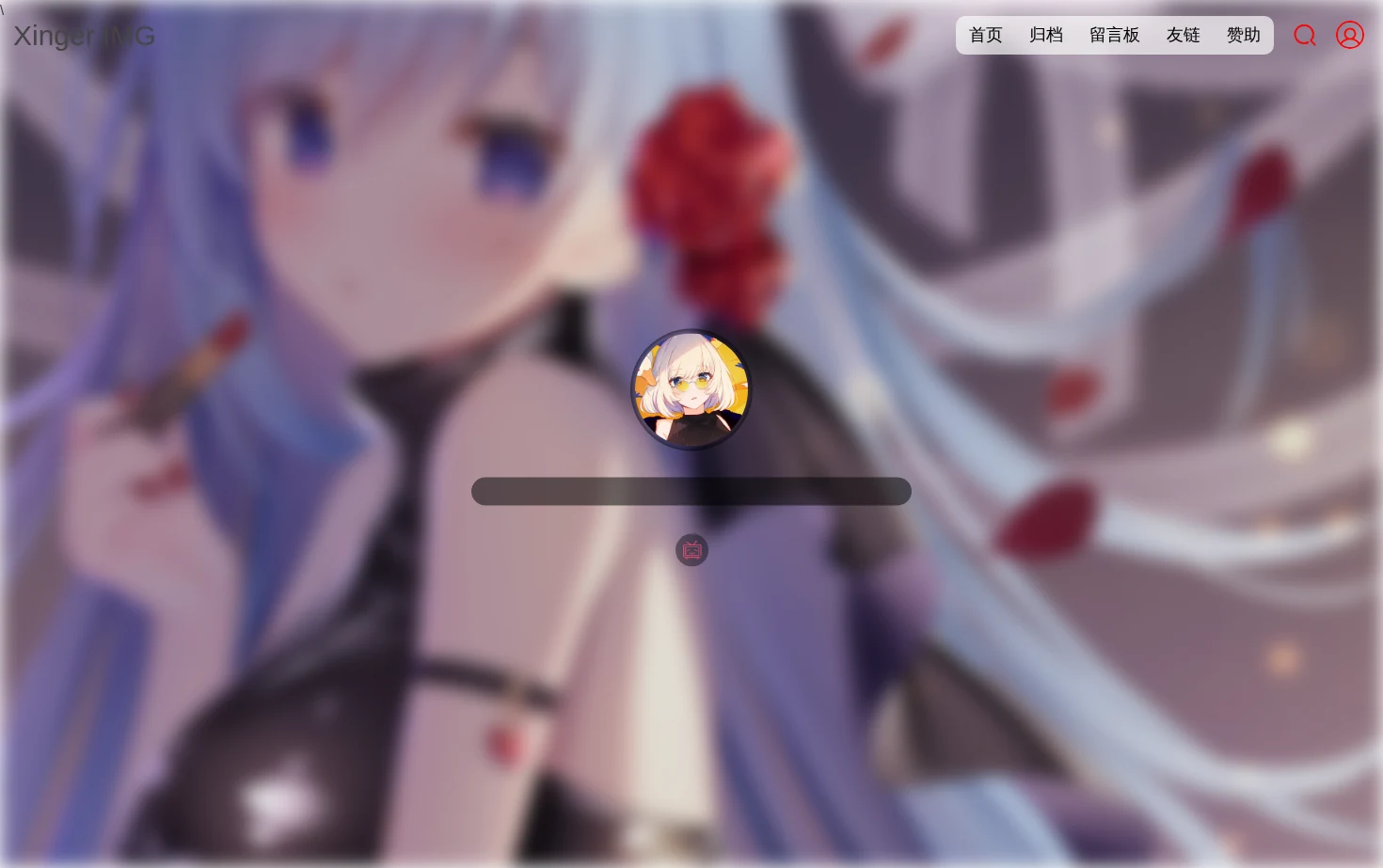 Xinger IMG 页面快照